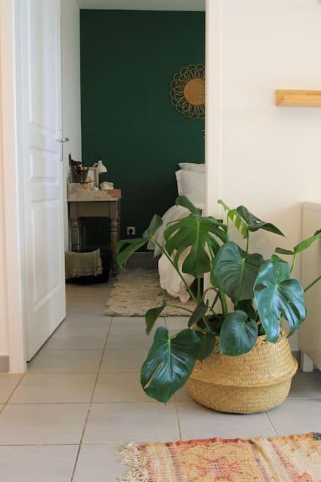 Cosy Appartement Entre Vignes Et Garrigue Avec Piscine Péret Exterior foto